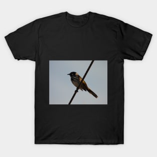 New Holland Honeyeater on a wire T-Shirt